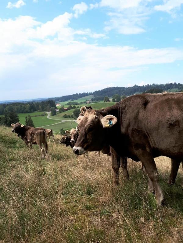 Ferienhaus Rasch Maierhöfen Zewnętrze zdjęcie