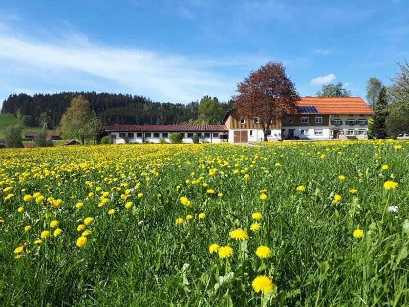 Ferienhaus Rasch Maierhöfen Zewnętrze zdjęcie